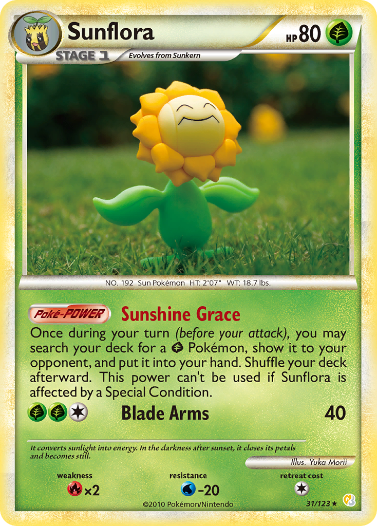 Carta Sunflora