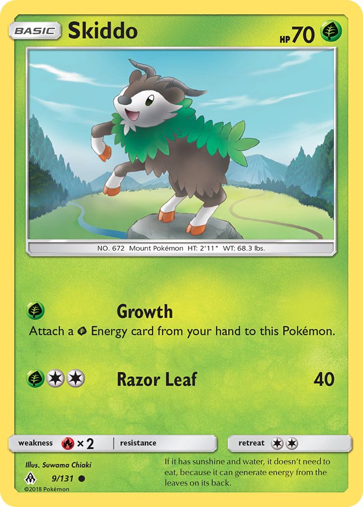 Carta Skiddo