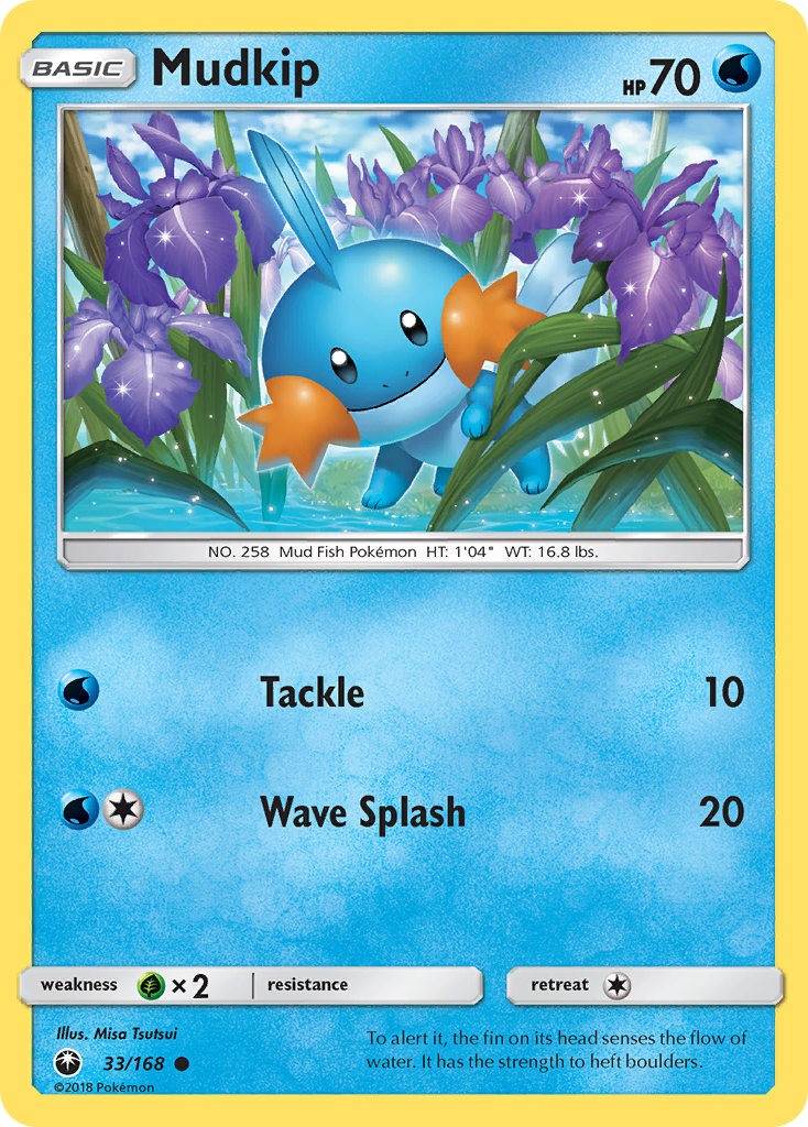 Carta Mudkip