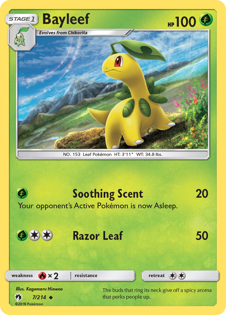 Carta Bayleef