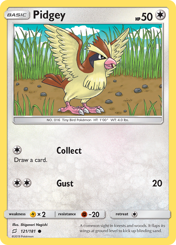 Carta Pidgey
