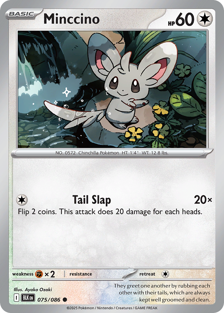 Carta Minccino