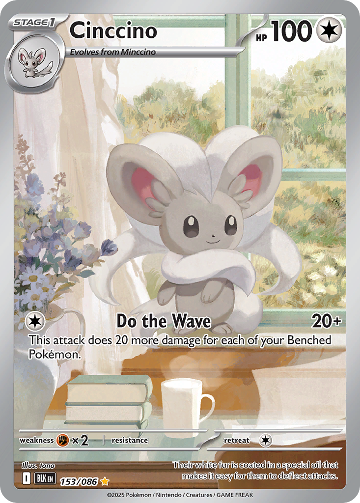 Carta Cinccino
