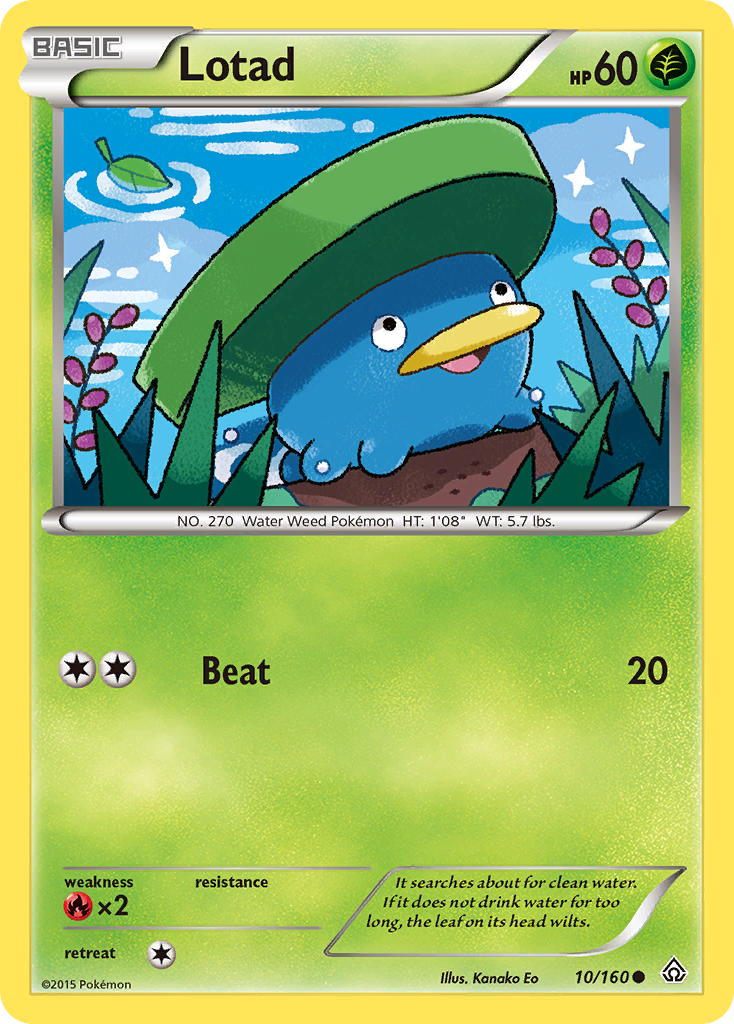 Carta Lotad
