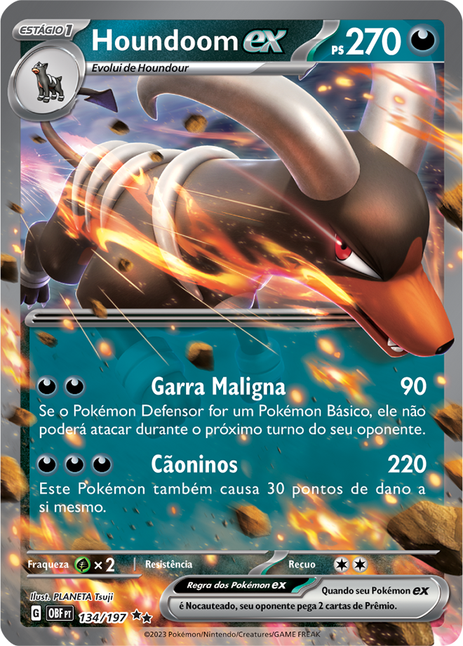 Carta Houndoom ex