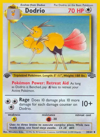 Carta Dodrio