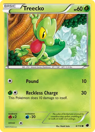 Carta Treecko