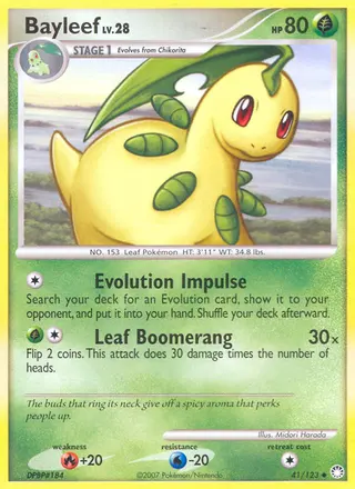 Carta Bayleef