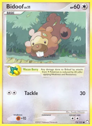 Carta Bidoof
