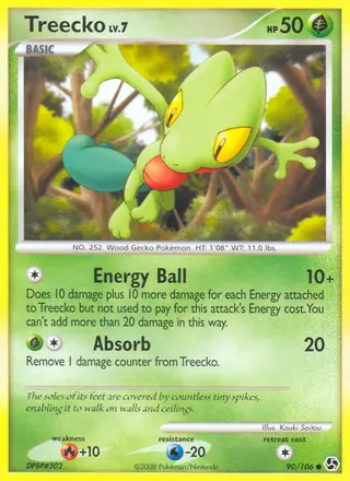 Carta Treecko