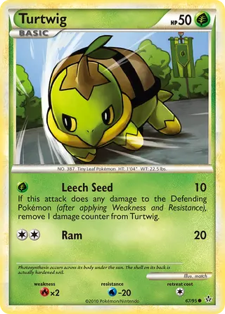 Carta Turtwig