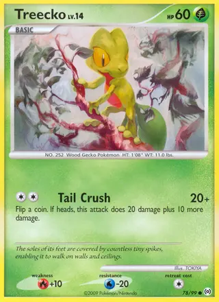 Carta Treecko
