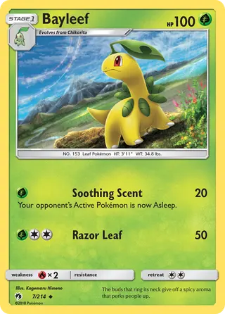 Carta Bayleef