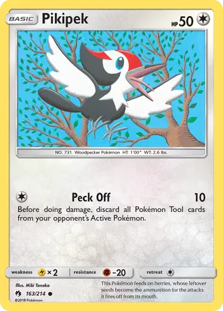 Carta Pikipek