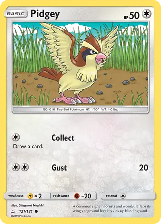 Carta Pidgey