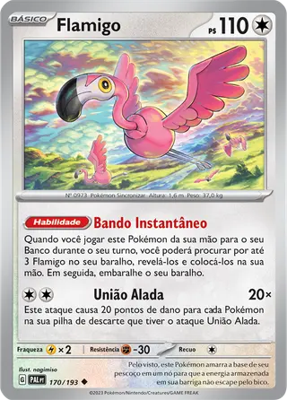 Carta Flamigo