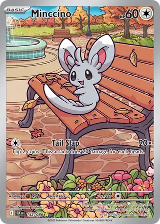Carta Minccino