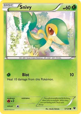 Carta Snivy