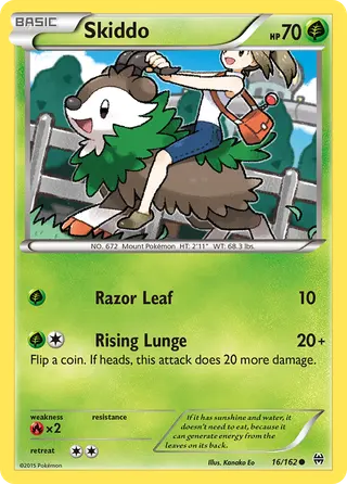 Carta Skiddo