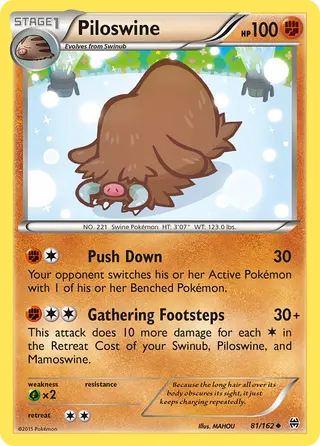 Carta Piloswine