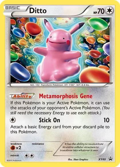 Carta Ditto