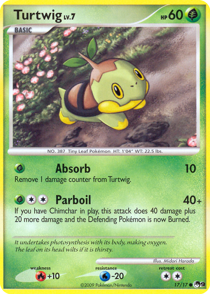Carta Turtwig