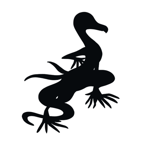 Silhueta de Salazzle